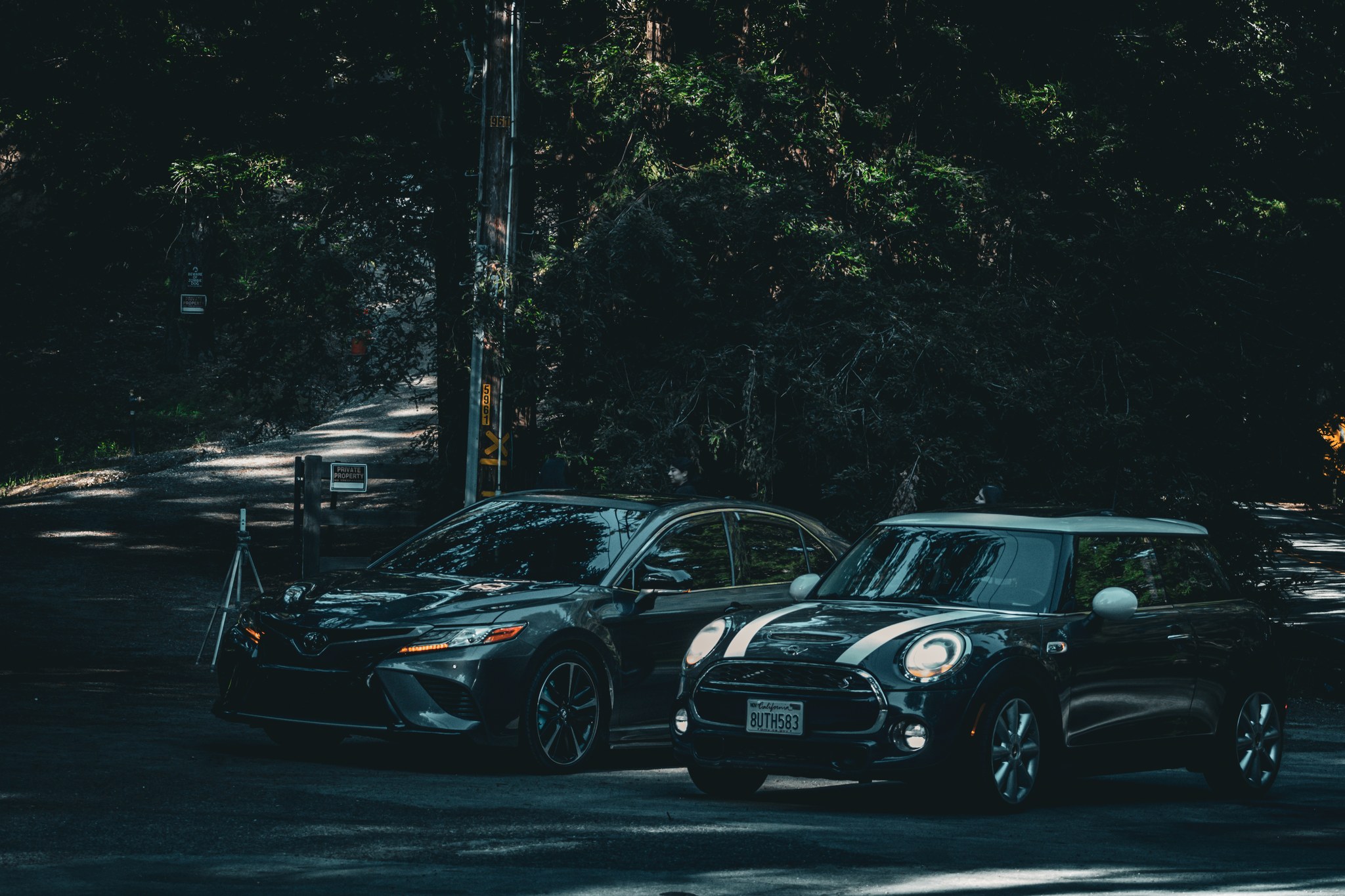 2024 Toyota Camry XSE in Magnetic Gray & 2014 MINI Cooper S in Black and White